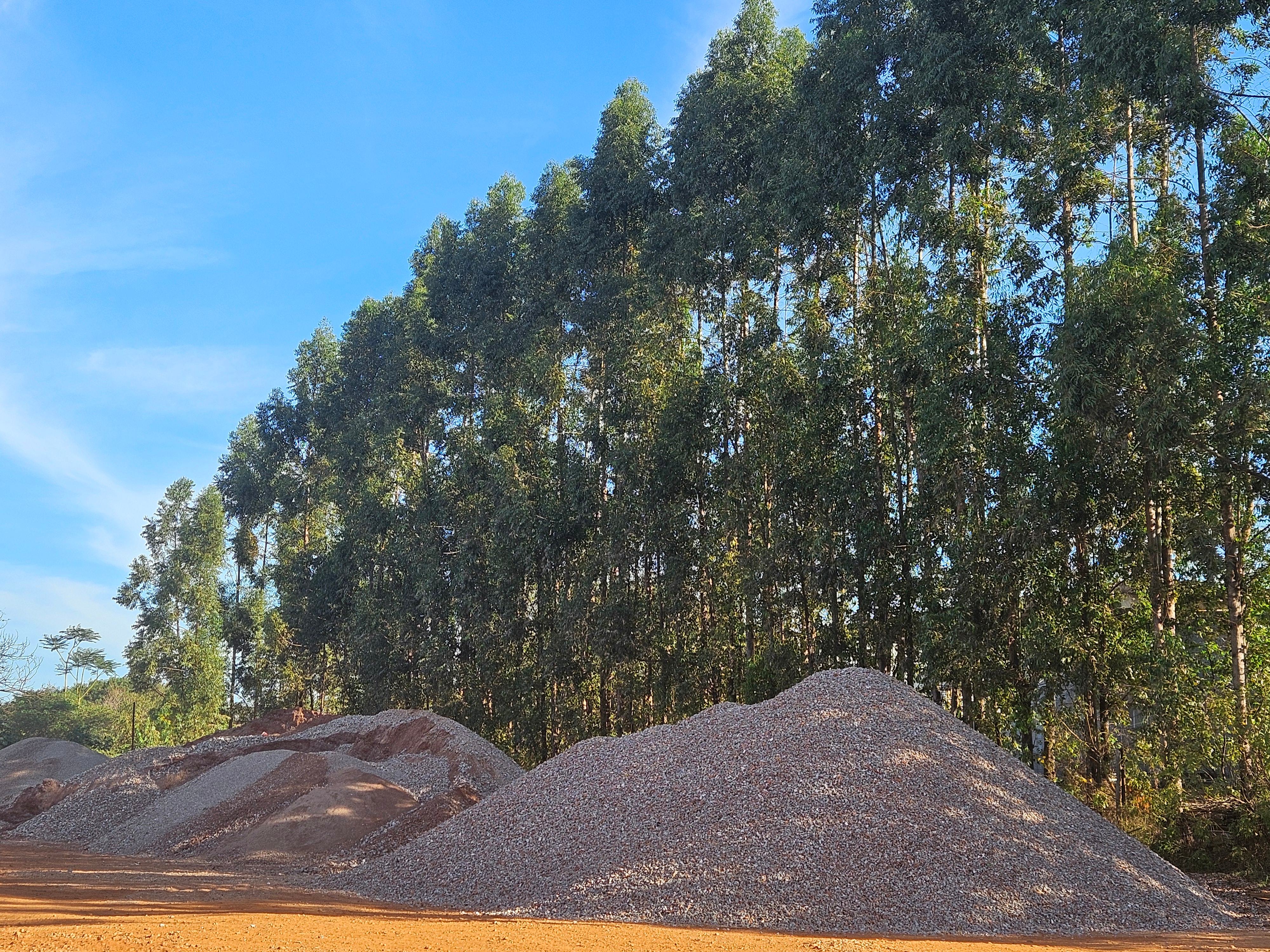Agregados reciclados com eucaliptos